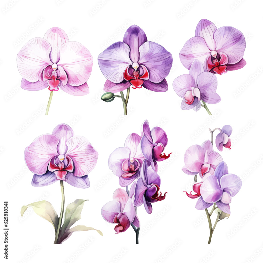 Obraz premium orchid flower set watercolor vector illustration.isolated white background. wedding invitation, print, sublimation, mug, tshirt, tumbler