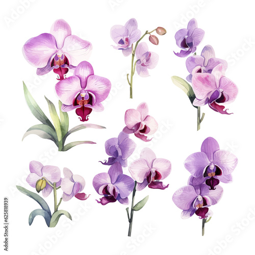 orchid flower set watercolor vector illustration.isolated white background. wedding invitation, print, sublimation, mug, tshirt, tumbler