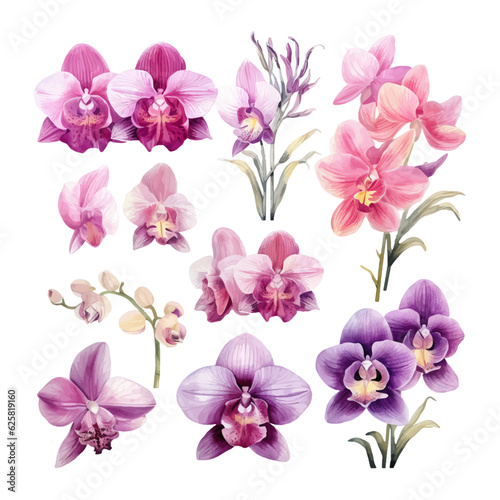 orchid flower set watercolor vector illustration.isolated white background. wedding invitation, print, sublimation, mug, tshirt, tumbler