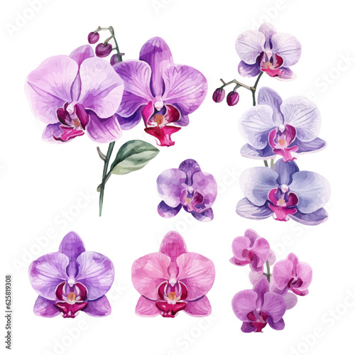 orchid flower set watercolor vector illustration.isolated white background. wedding invitation, print, sublimation, mug, tshirt, tumbler