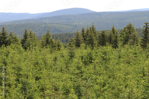 Wald bis zum Horizont; Blick vom Kramerod über den Thüringer Wald zum Großen Buchenberg