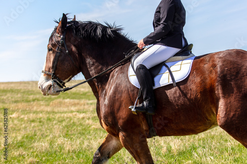 Close-up of a rider on a horse in a dressage competition