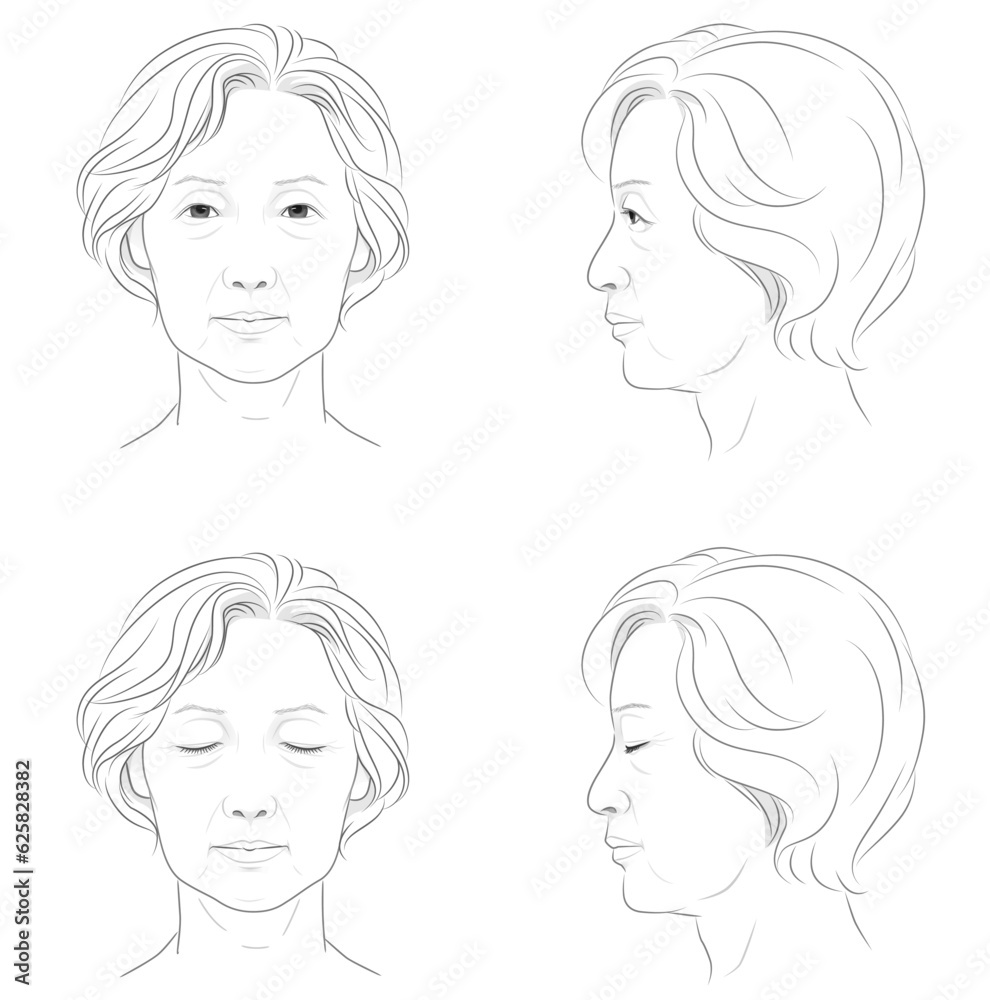シニア 女性の顔の線画イラストセット