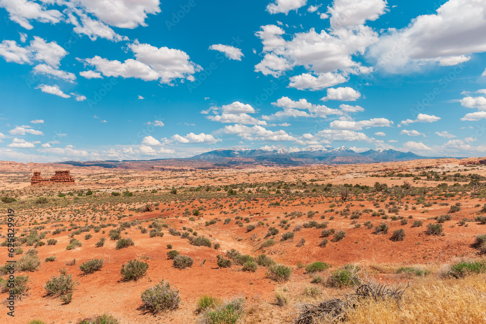 La Sal Mountains View in Arches National Park