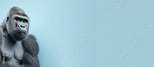 Photo of a gorilla standing against a vibrant blue wall with copy space