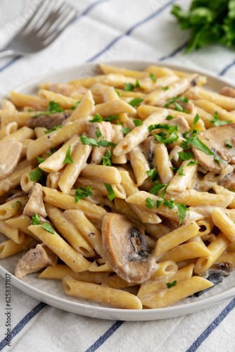 Homemade One-Pot Creamy Chicken Marsala Pasta with Parsley on a Plate, side view. Copy space.