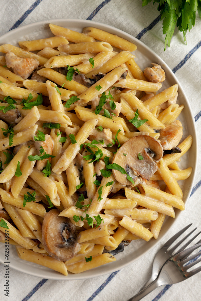 Homemade One-Pot Creamy Chicken Marsala Pasta with Parsley on a Plate, top view. Flat lay, overhead, from above. Homemade One-Pot Creamy Chicken Marsala Pasta with Parsley on a Plate, top view. Flat lay, overhead, from above.