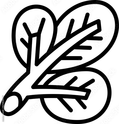 spinach  icon