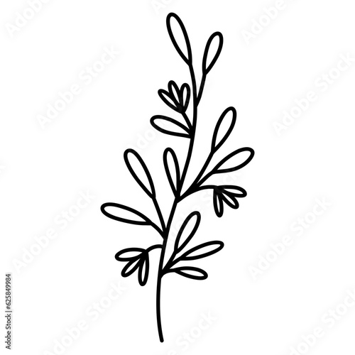 Cute branch with leaves and flowers isolated on white background. Vector hand-drawn illustration in doodle style. Perfect for cards, logo, decorations, various designs. Botanical clipart.