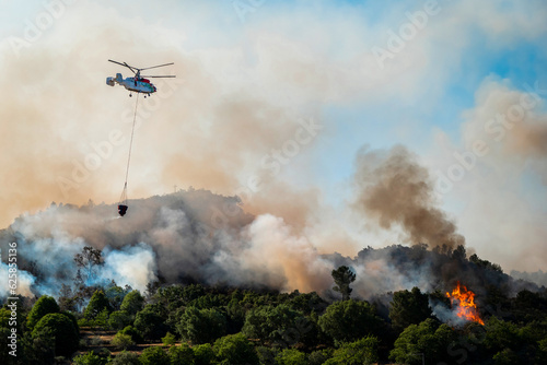 Helicóptero a transportar água para apagar um incêndio florestal que arde num pinheiral deixando uma grande nuvem de fumo branco e negro