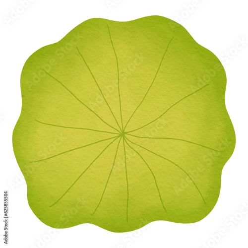 Lily Pad Watercolor Illustration