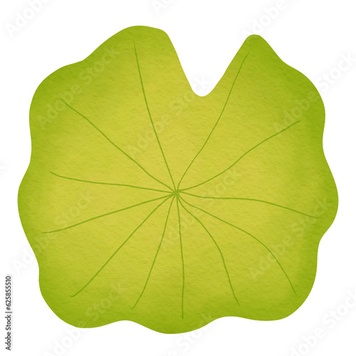 Lily Pad Watercolor Illustration