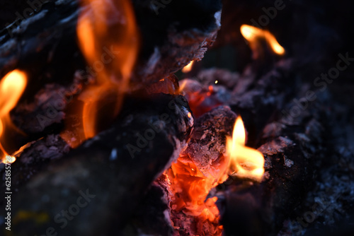wooden logs burning in campfire at evening outdoor. close up