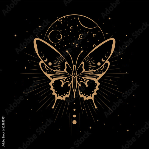 Celestial Magical Animal Butterfly Illustration