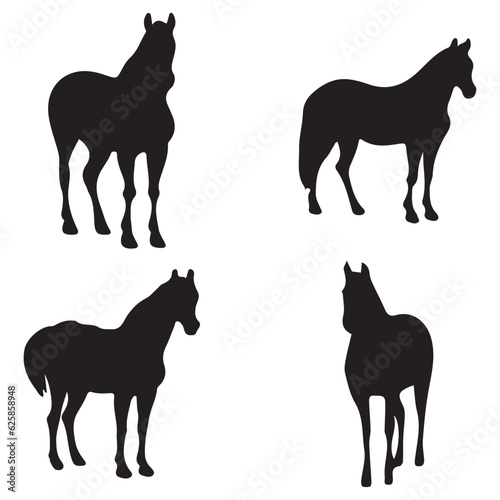 Zorse silhouettes and icons. Black flat color simple elegant Zorse animal vector and illustration.