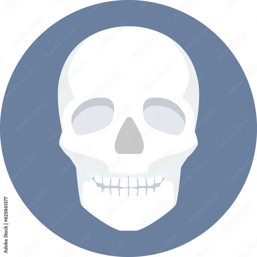 Fototapeta premium Skull