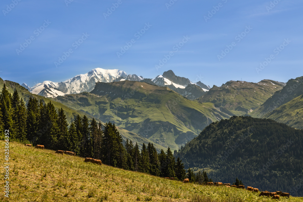 Fototapeta premium Mont-Blanc, seen from Beaufortain