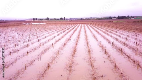 Aerial overhead flooded farmlands with vines under water, climate change image