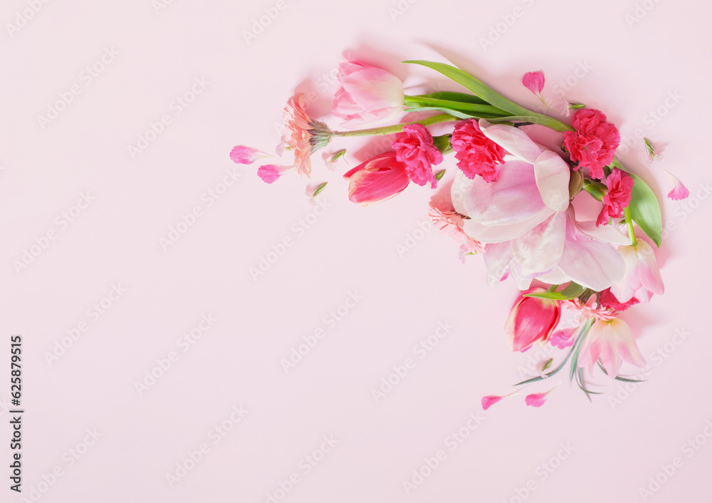 Fototapeta premium beautiful spring flowers on pink background