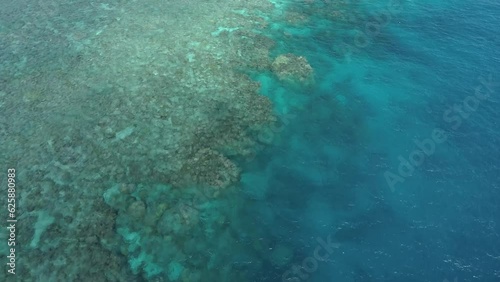 Wallpaper Mural Breathtaking 4K Aerial Drone Journey: Colorful Bommies of Great Barrier Reef - July 2020. Graceful glide reveals captivating tapestry of closely packed coral, vibrant hues, and glassy turquoise waters Torontodigital.ca