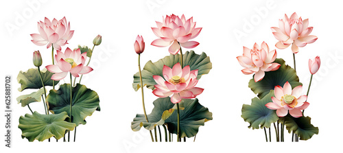Fototapeta Naklejka Na Ścianę i Meble -  Watercolour lotus flowers. Generative Ai