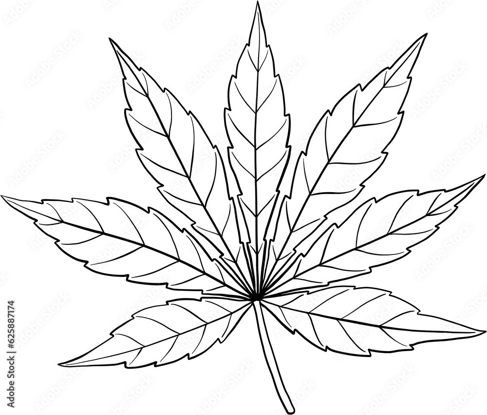 simplicity cannabis leaf freehand drawing simplicity cannabis leaf freehand drawing