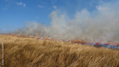 Fotografia Fire Management - Burning firebreaks in the KwaZulu-Natal Midlands, South Africa