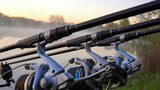 Fishing with carp fishing technique. Rods with bite indicators and reels set up on rod pod on a background of lake or river in the morning close up