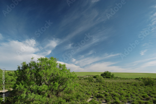 Criptohumedal con vehetación halófita en el paraje de los Llanos del Cagitán, en Calasparra (Murcia, España). Paisaje estepario del interior de la Región de Murcia.