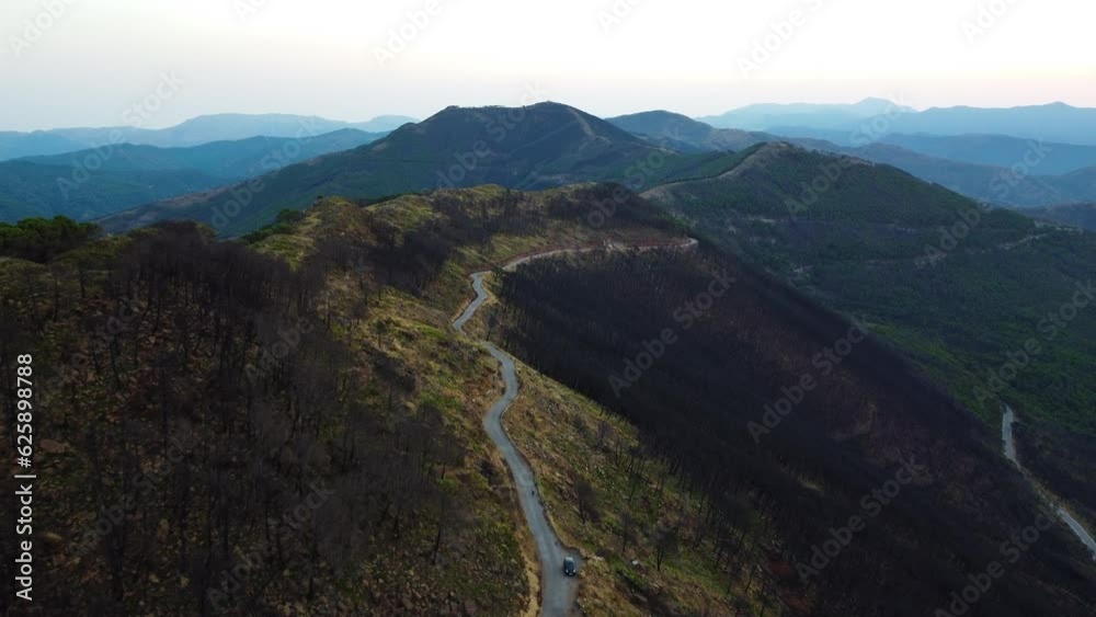 A drone flies over a road in a burnt mountainside forest with burned trees on both sides. A drone flies over a road in a burnt mountainside forest with burned trees on both sides.