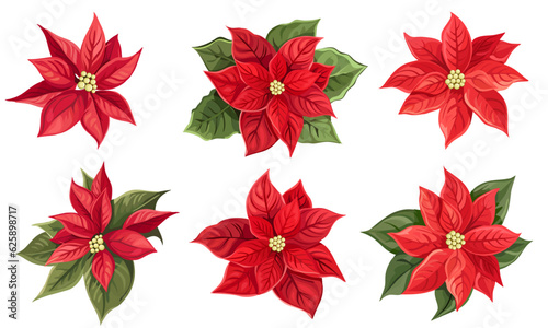 Vector set of red poinsettia and green leaves. New Year flowers on white background. Vector illustration