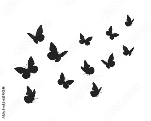 black butterfly flock set