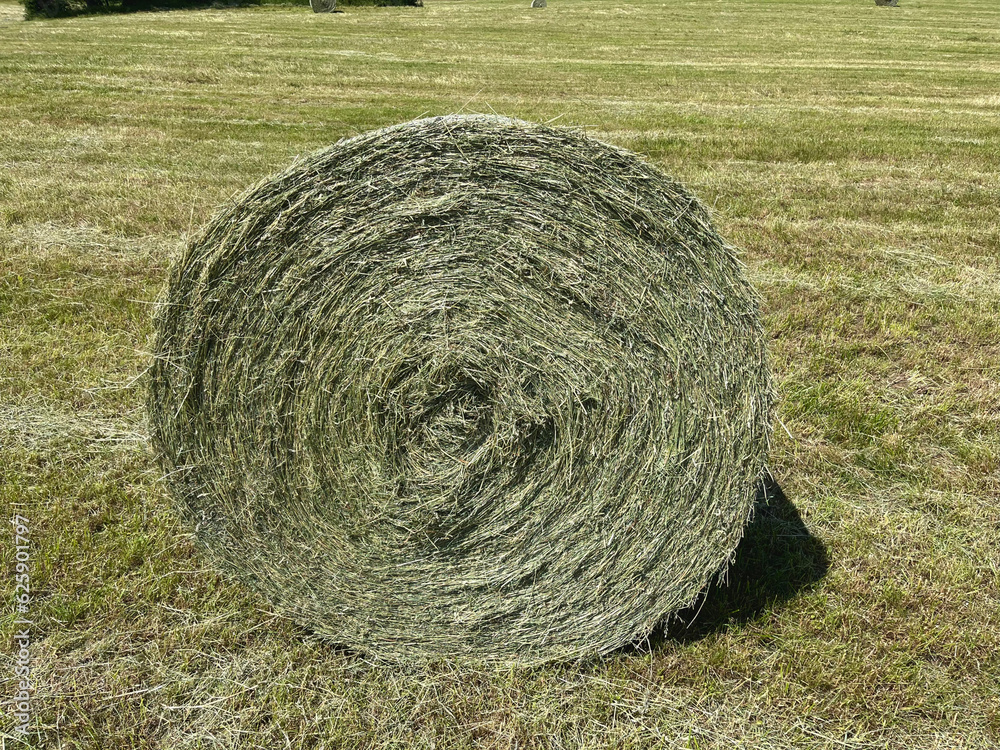 Haylage is grass dried to a humidity of 50-55% and preserved in sealed containers. It is used for feeding cattle and sheep Haylage is grass dried to a humidity of 50-55% and preserved in sealed containers. It is used for feeding cattle and sheep