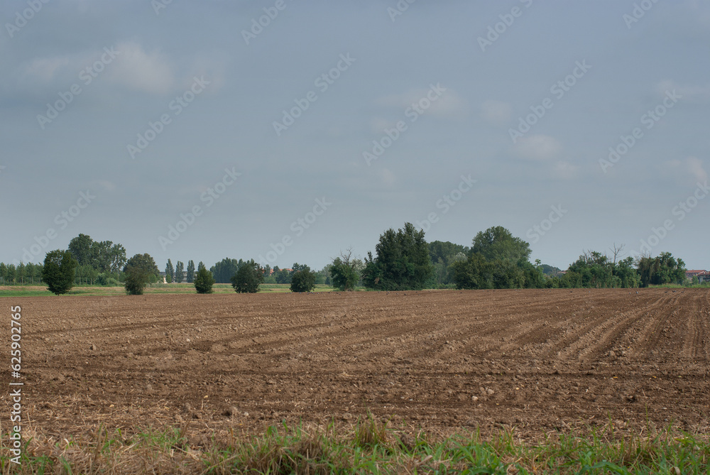 terreno agricolo lavorato per la semina