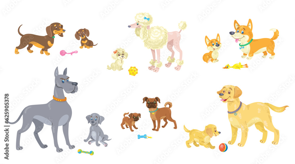 Adult dogs with their puppies. Set of different breeds. Dachshund, Poodle, Corgi, Great Dane, Belgian Griffon and Golden Retriever. In cartoon style. Isolated on white. Vector flat illustration. Adult dogs with their puppies. Set of different breeds. Dachshund, Poodle, Corgi, Great Dane, Belgian Griffon and Golden Retriever. In cartoon style. Isolated on white. Vector flat illustration.