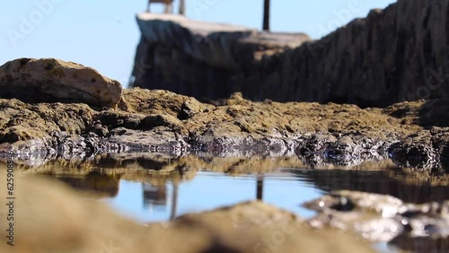 tide pools at low tide photo