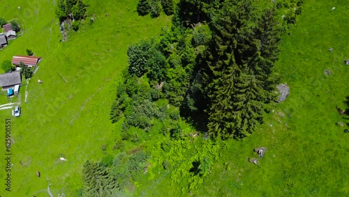 Aerial descending tilt up along large pine tree above Switzerland alps village homes photo