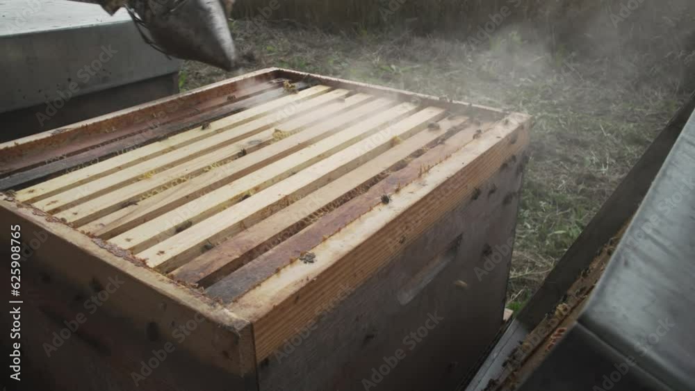 RUCHE MIEL ABEILLE