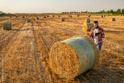 Farmer is standing beside bales of hay. He is examining straw after successful harvesting. photo