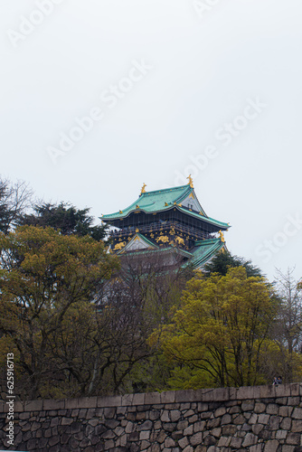 Osaka Castle beautiful Japanese temple green winter forest trees Nishinomaru Garden