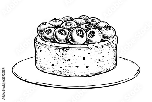 Vector sketchy illustrations of blueberry tart on plate