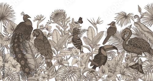  Horizontal vector seamless pattern with tropical garden with exotic birds. Macaw parrot, toucan, hoopoe, peacock, flamingos and cockatiel parrot in engraving style
