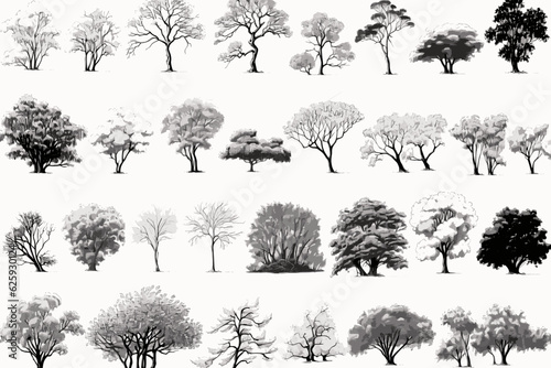 set of silhouettes of trees, vector, nature, leaf, illustration, forest, black, branch, plant, pine