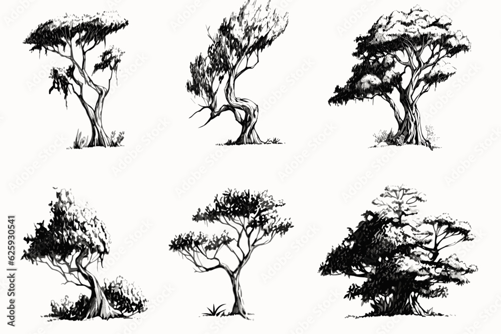 Fototapeta tree, silhouette, vector, nature, leaf, forest, illustration, black, branch, trees, palm, pine, plant, art, set, oak, design, outline, wood, drawing, leaves, birch, icon, autumn, collection