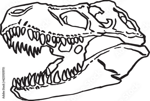 Graphical sketch of skull of tyrannosaurus isolated on white,vector illustration, fossils