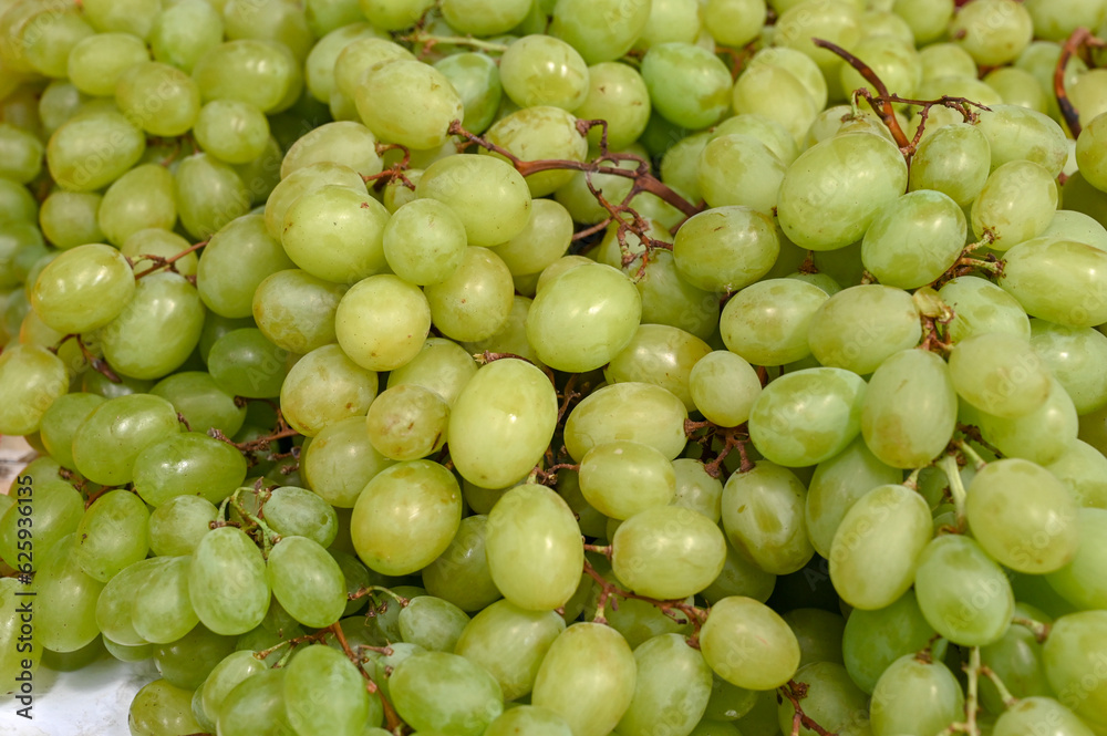 Fresh grapes for sale at the market. Green ripe grapes. Fresh grapes for sale at the market. Green ripe grapes.