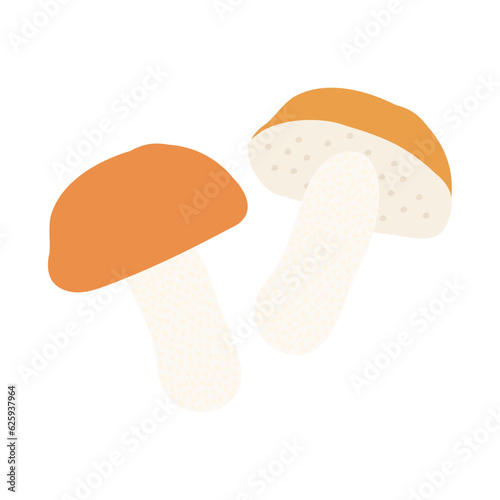 アカエノキンチャヤマイグチ。フラットなベクターイラスト。
Red-capped scaber stalk. Flat designed vector illustration.
