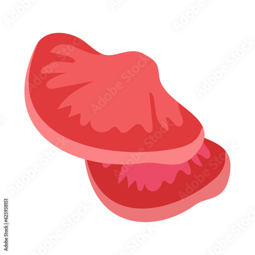 カンゾウタケ。フラットなベクターイラスト。
Beefsteak fungus. Flat designed vector illustration.