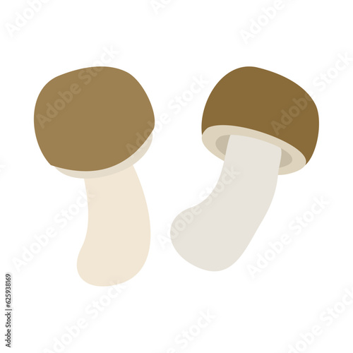 ニセモリノカサ（アガリクス）。フラットなベクターイラスト。
Almond mushroom (almond agaricus, mushroom of the sun, God's mushroom, mushroom of life, royal sun agaricus). Flat designed vector illustration.