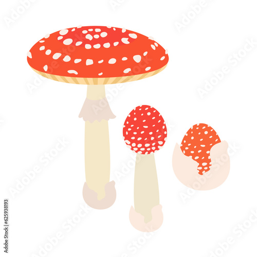 ベニテングタケ。フラットなベクターイラスト。
Fly agaric (fly amanita). Flat designed vector illustration.
